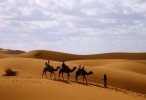 28. Прогулки в Сахару