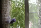 7. Купить двухкомнатную квартиру в Самаре.